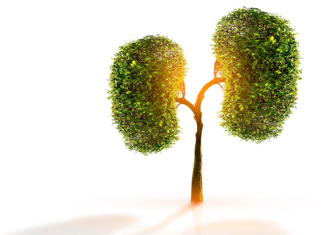 GR-110-112_MedEd2025-Featured